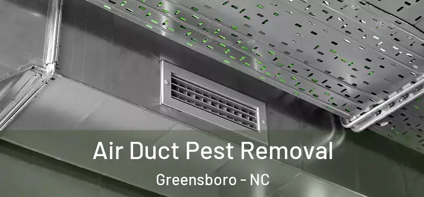 Air Duct Pest Removal Greensboro - NC