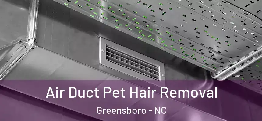  Air Duct Pet Hair Removal Greensboro - NC