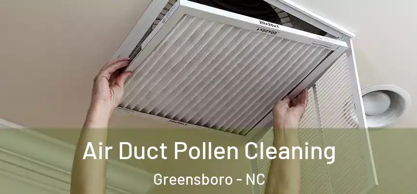 Air Duct Pollen Cleaning Greensboro - NC