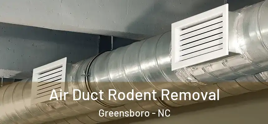 Air Duct Rodent Removal Greensboro - NC