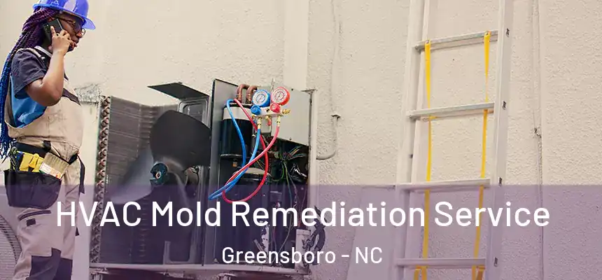HVAC Mold Remediation Service Greensboro - NC