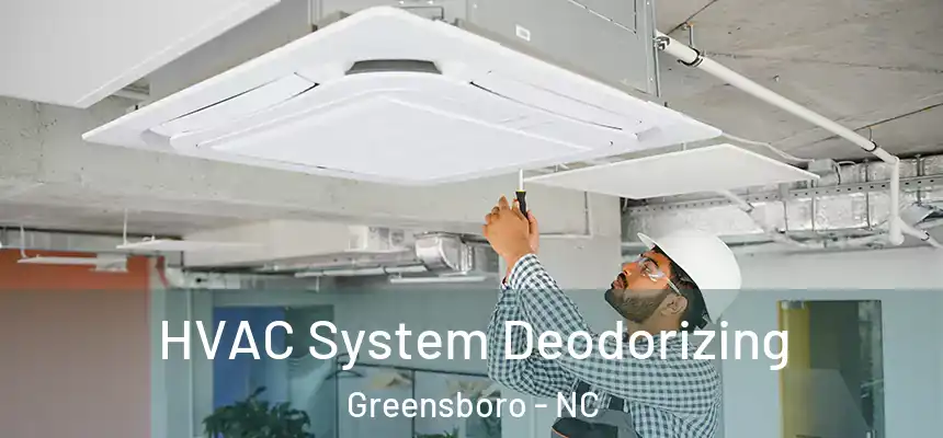  HVAC System Deodorizing Greensboro - NC