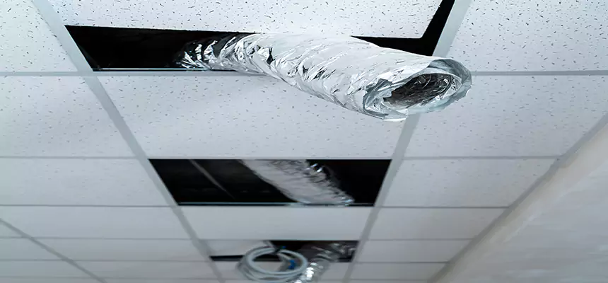 Affordable HVAC Sanitizing After Pest Removal in Greensboro