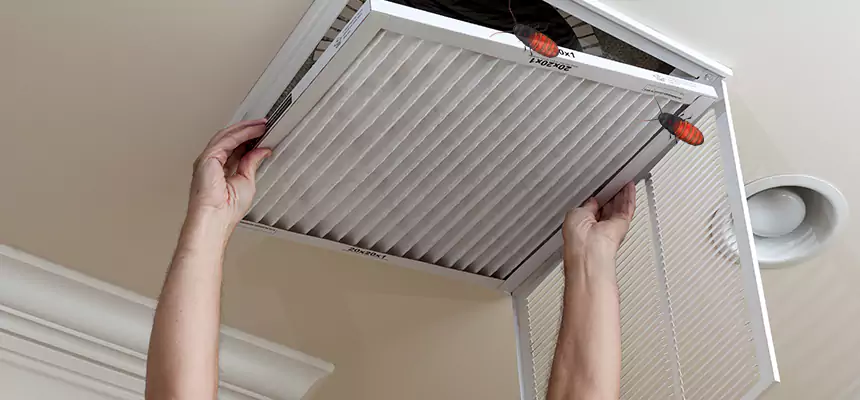 Our Insect Removal from Air Ducts Services in Greensboro, NC