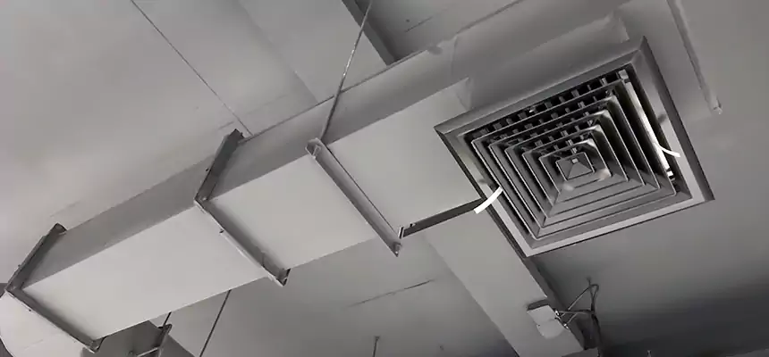 Our Pest Removal From Ducts Services in Greensboro, NC