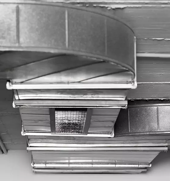 Professional Air Duct Pest Removal in Greensboro, NC