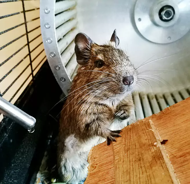 Why Homeowners & Businesses Trust Us Greensboro, NC