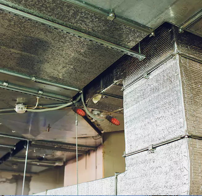 Why Homeowners & Businesses Trust Us Greensboro, NC?